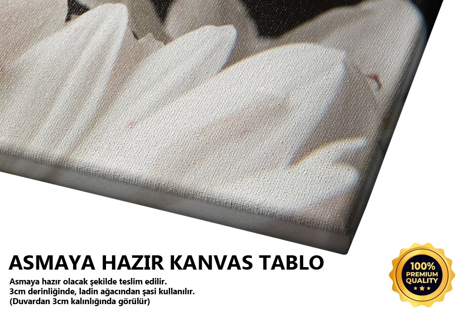 Papatya Tablo