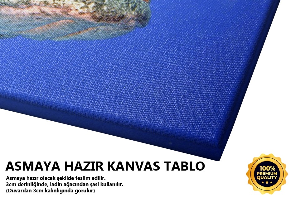 Çirkin Balık Tablo