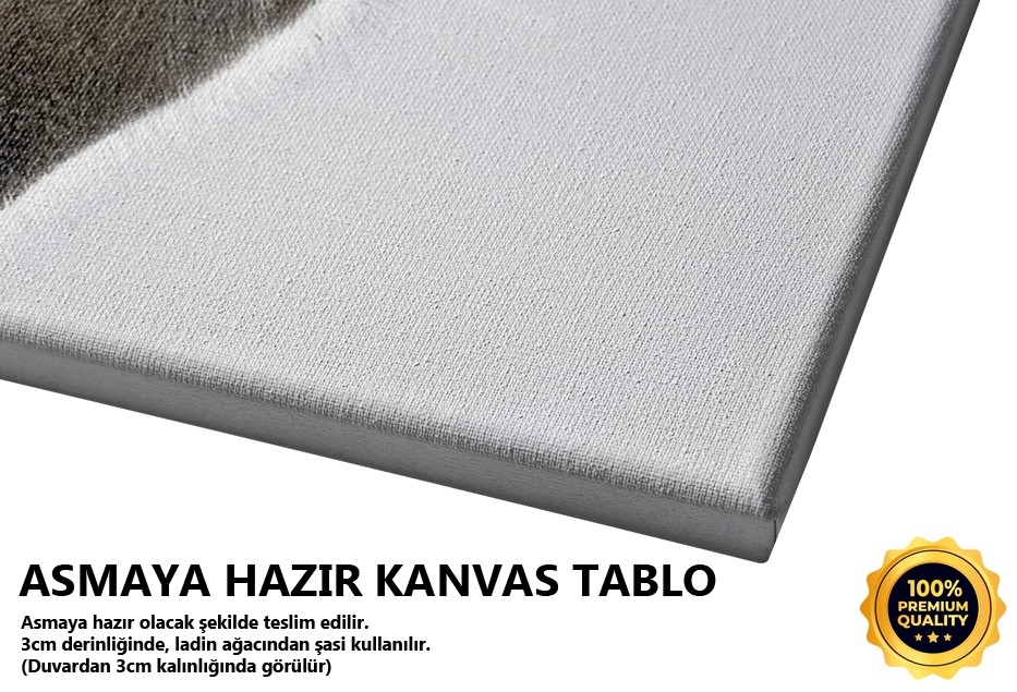 Devetabanı Tablo