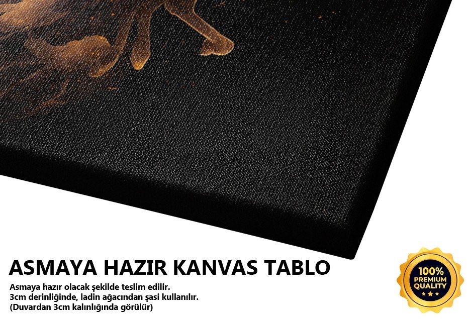 Alevli Siyah At