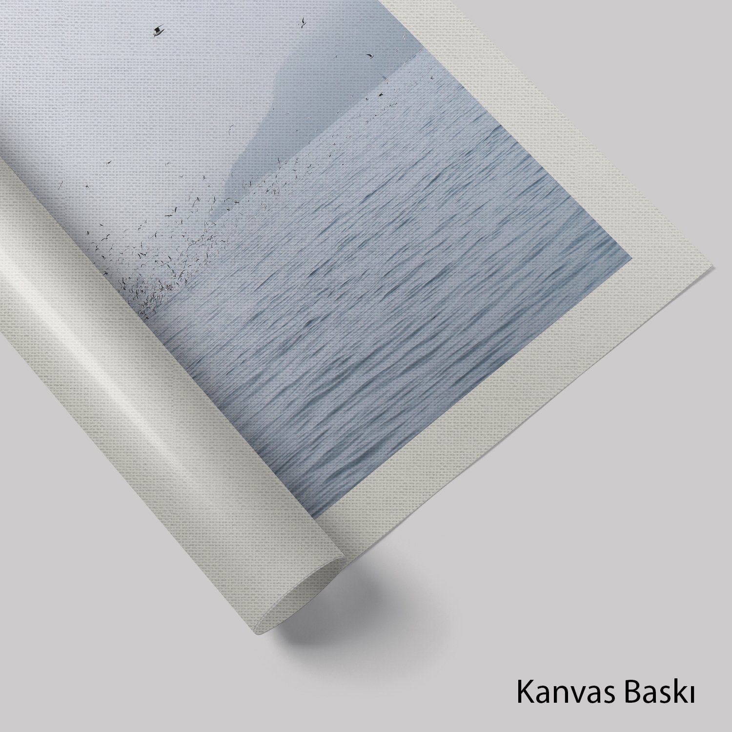 Balıkçı Teknesi ve Martılar