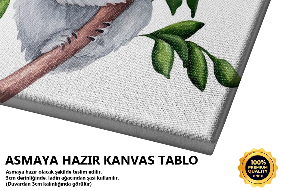 Koala Tablo