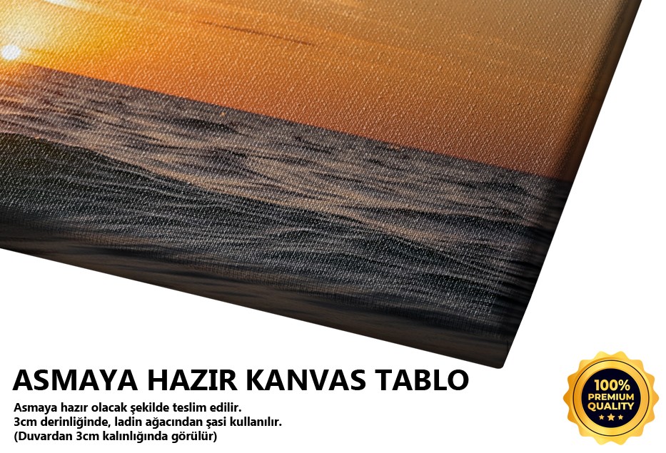 Günbatımında Zıplayan Yunus
