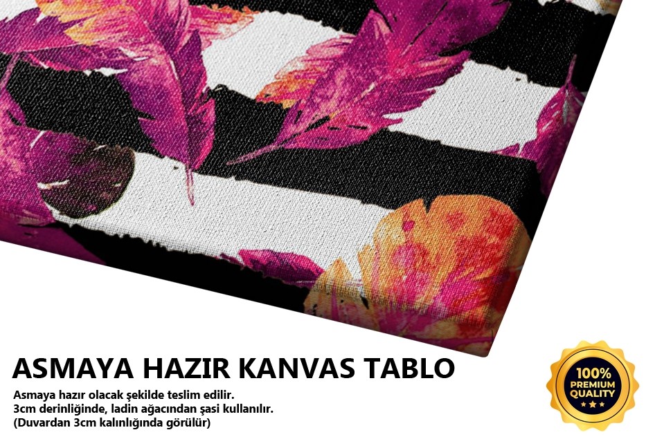 Renkli Tüy Tablo