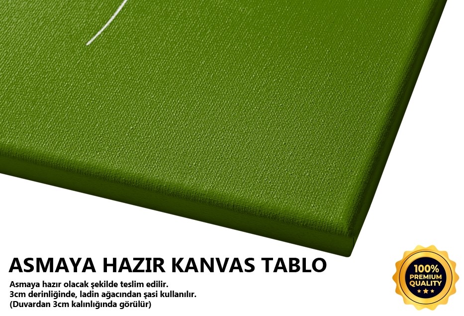Beyaz Çiçek Tablo