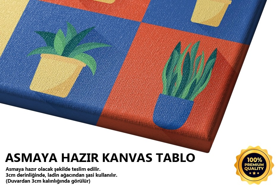 Kaktüs Toplu Tablo