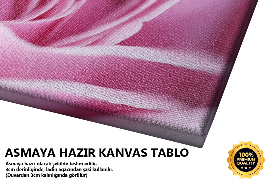 Pembe Gül Tablo