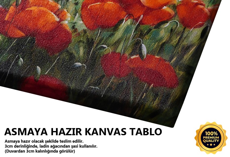 Gelincik Manzarası Tablo