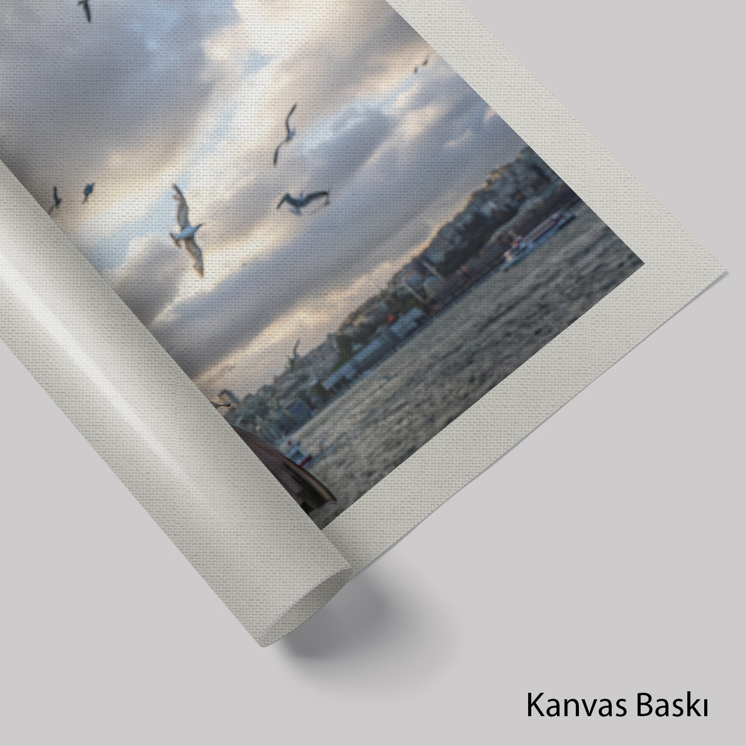 Martı ve İstanbul