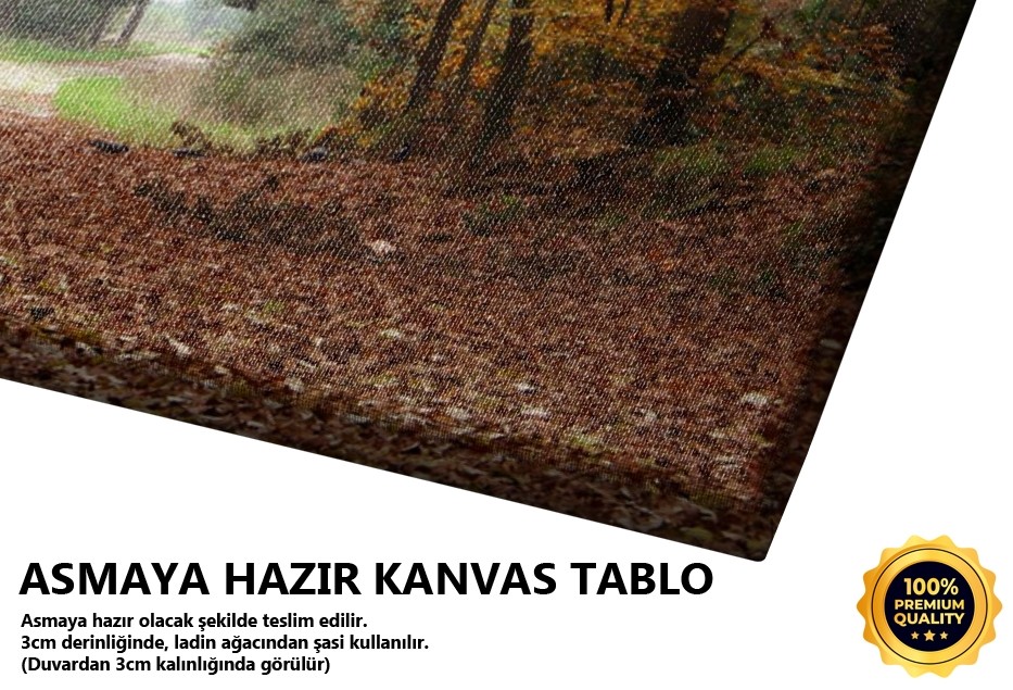 Yollarına Döküldüm (Çamlıca-istanbul) Tablo