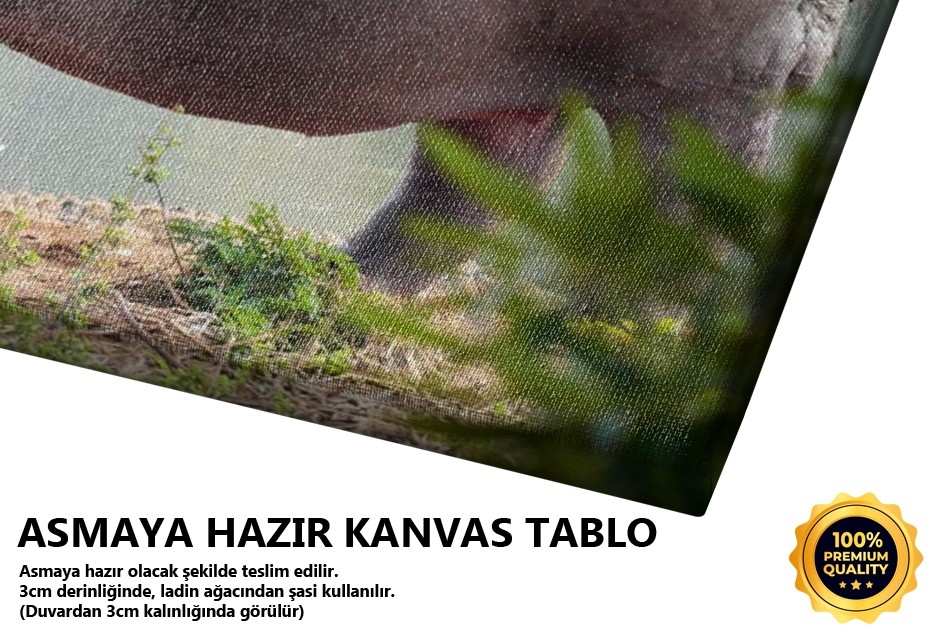 Hipopotamus Tablo