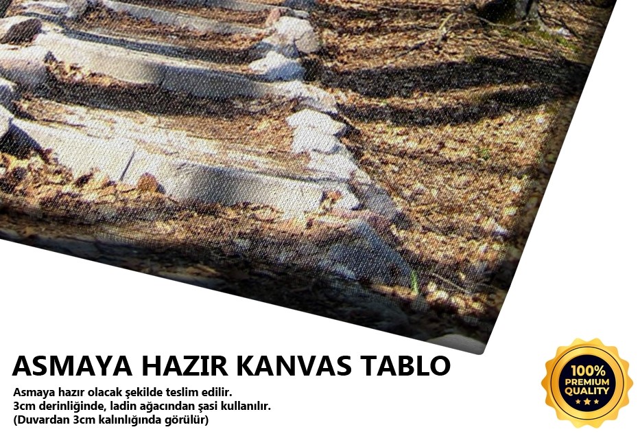 Gidişler -2007 Tablo
