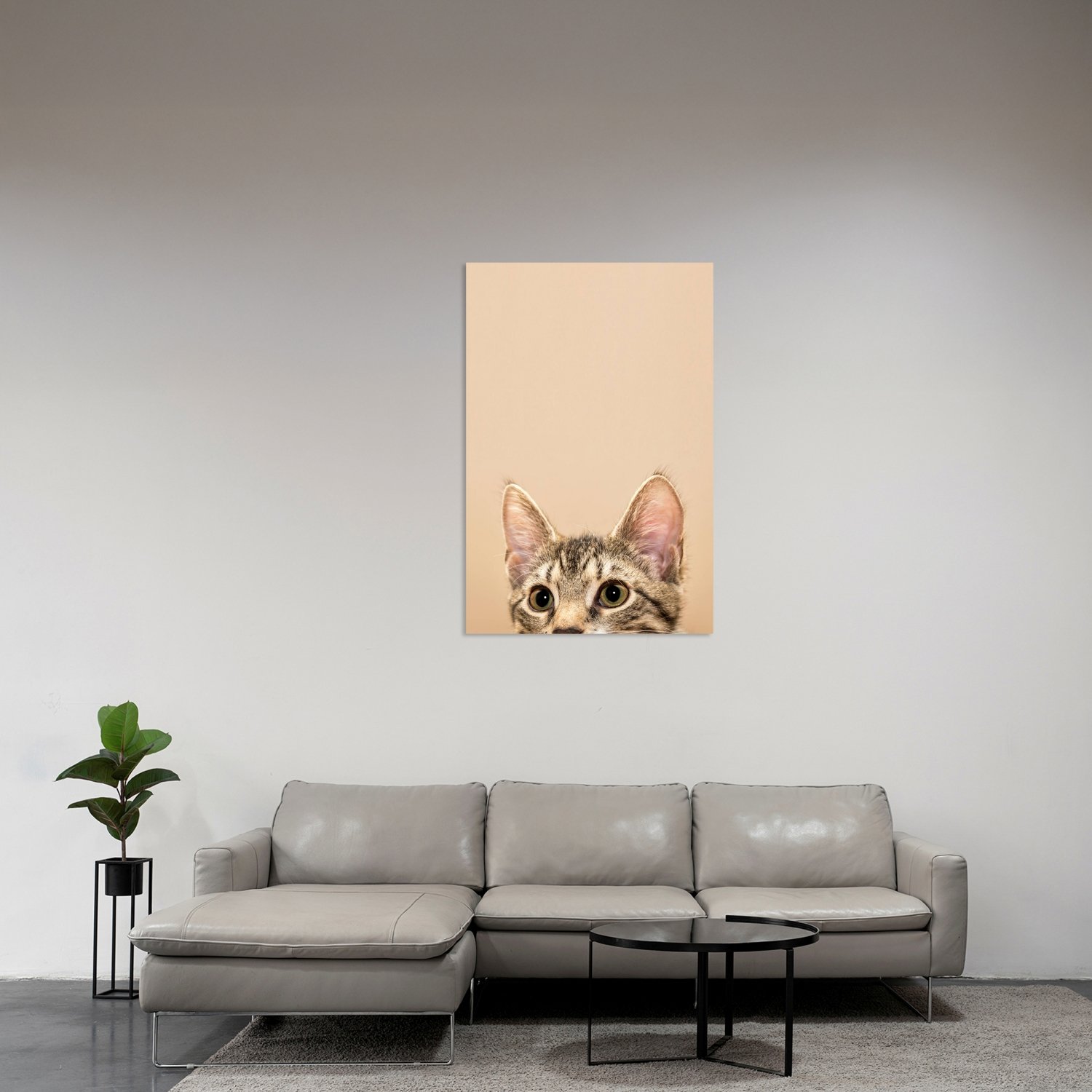 Kedi Gözü Pembe Tablo