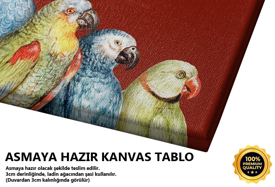 Papağanlar Seyirde Tablo