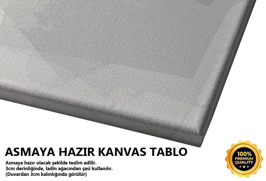 Açıktan Koyuya Tablo
