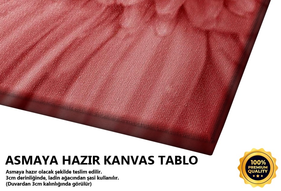 Ağlayan Çiçek -2006 Tablo