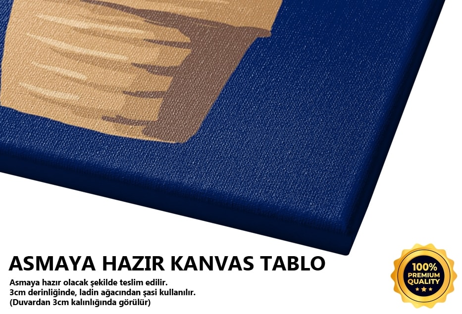 Mavi Kaktüs 2 Tablo