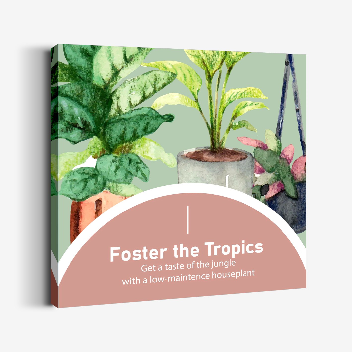 Foster The Tropics Tablo