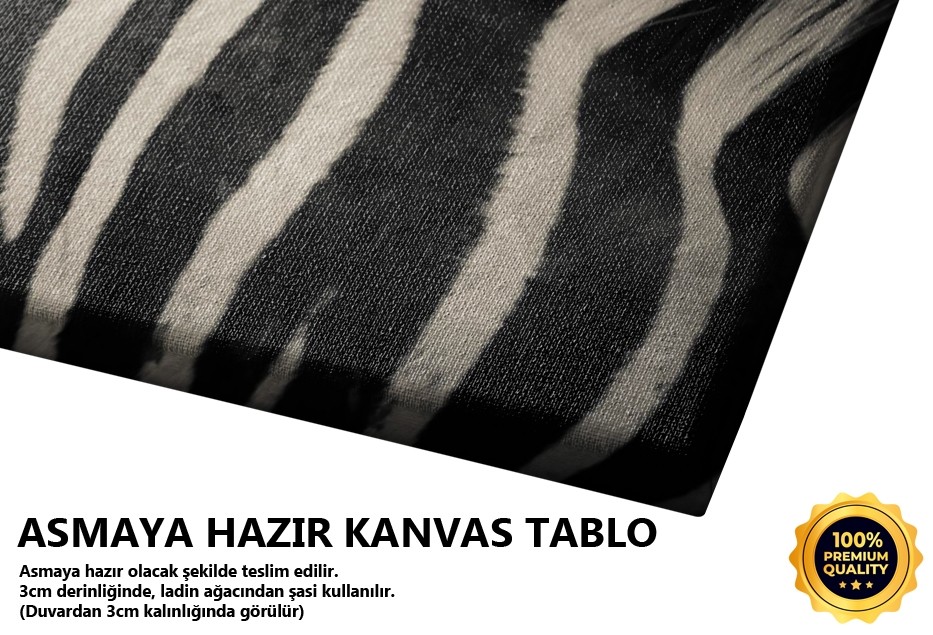 Zebra Tablo