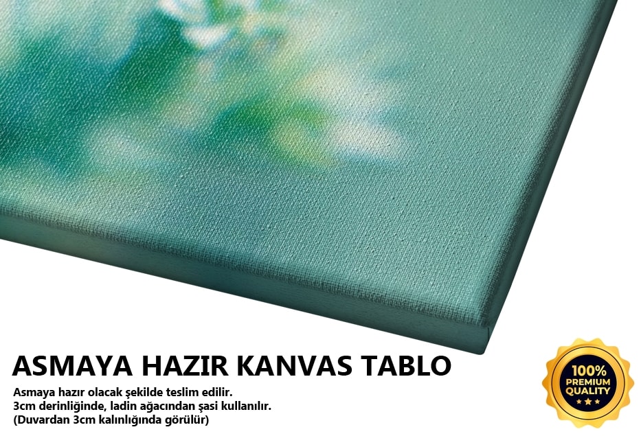 Mavi Sukulent Tablo