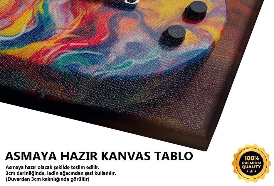 Renkli Elektro Gitar