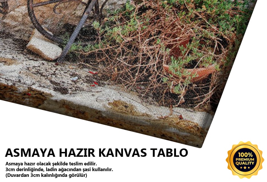 Eski Bisiklet Tablo