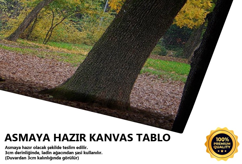 Sarardım (Çamlıca-istanbul) Tablo