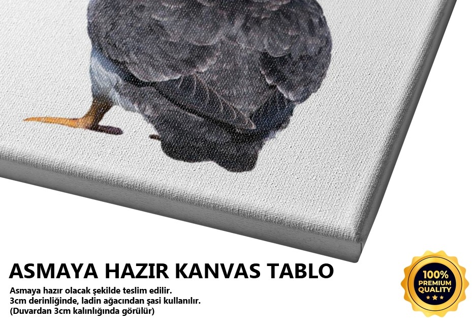 Kutup Martısı Tablo