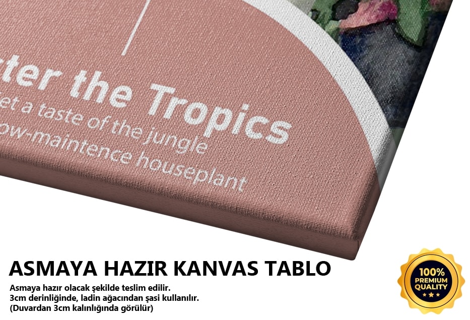 Foster The Tropics Tablo