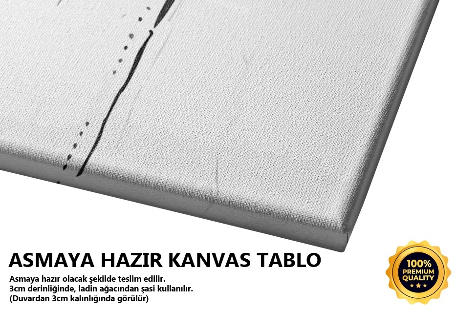 Karanlık Son Tablo
