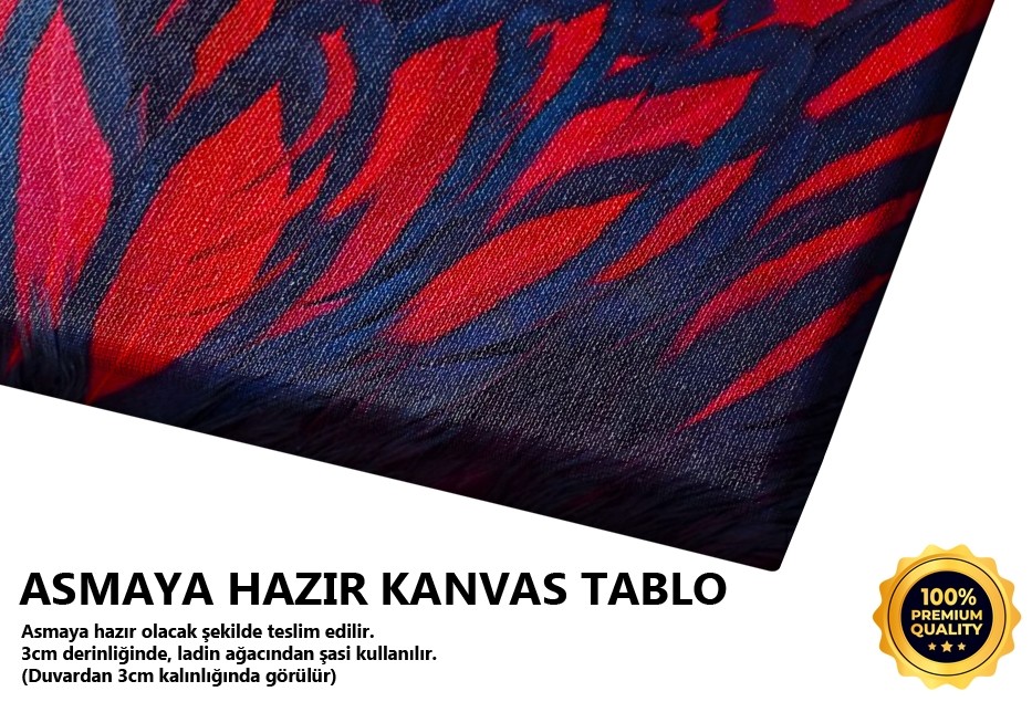 Küş Tüyleri Tablo