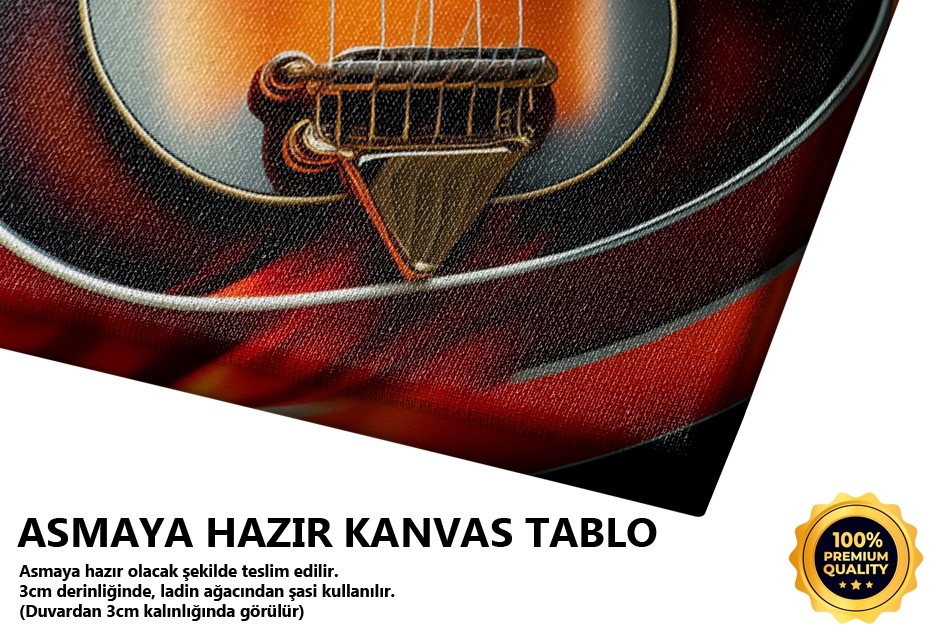 Alevli Gitar İllüstrasyonu