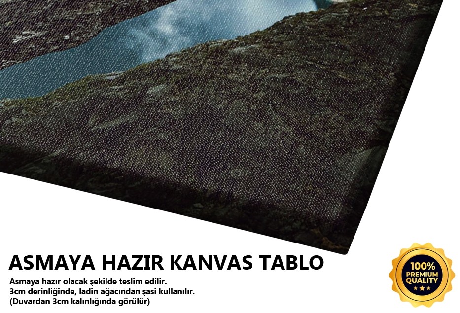 Manzaraya Bakan Adam Tablo