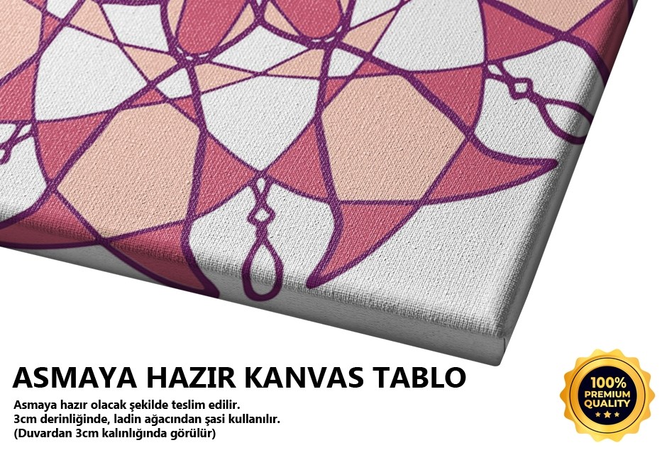 Floral Desen İkili Pembe Tablo