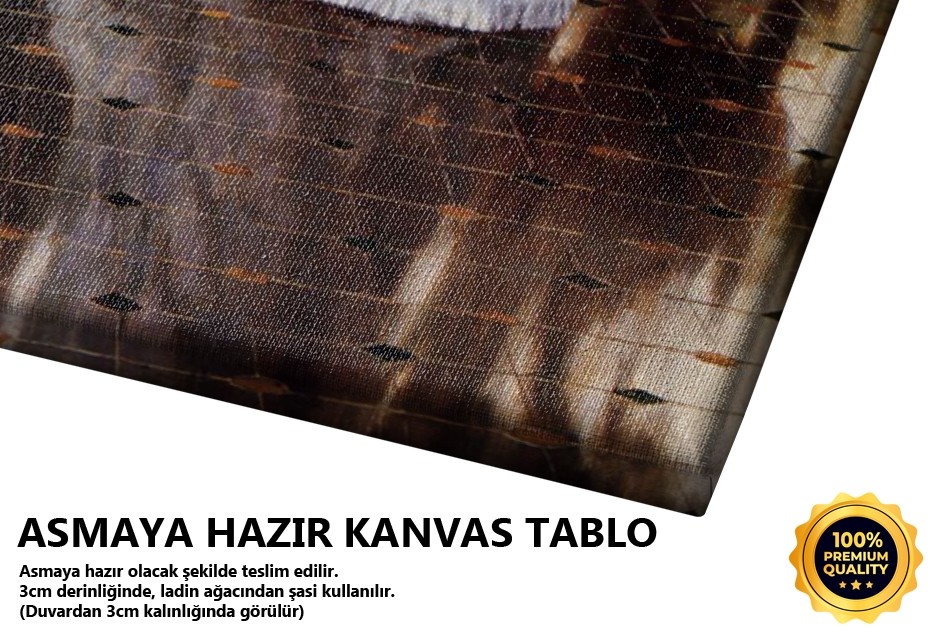 Menekşe Demeti Tablo