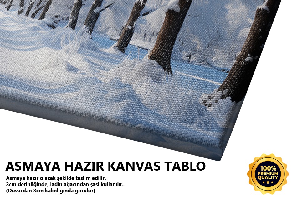 Karlı Ormanda Parlayan Güneş