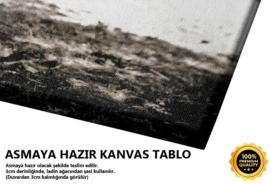 Küçüğüm (Edirne) Tablo