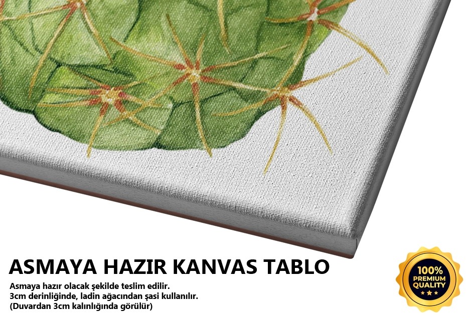 Kaktus Seri 2 Tablo