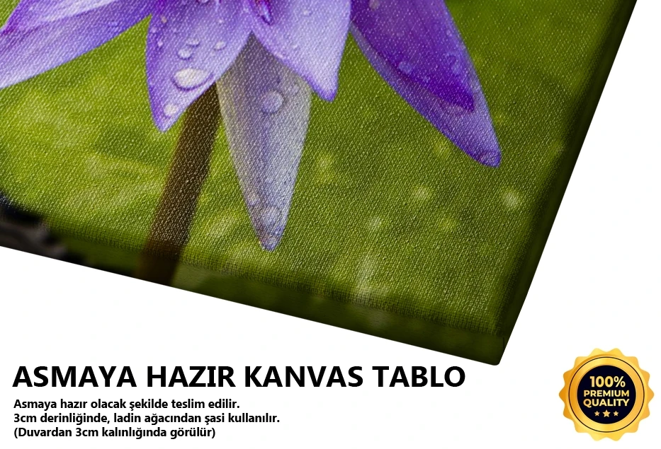 Lotus Çiçeği Tablo