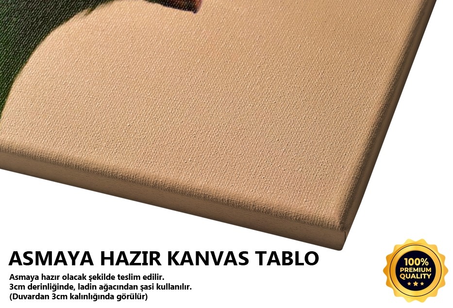Yeşil Turaco Tablo