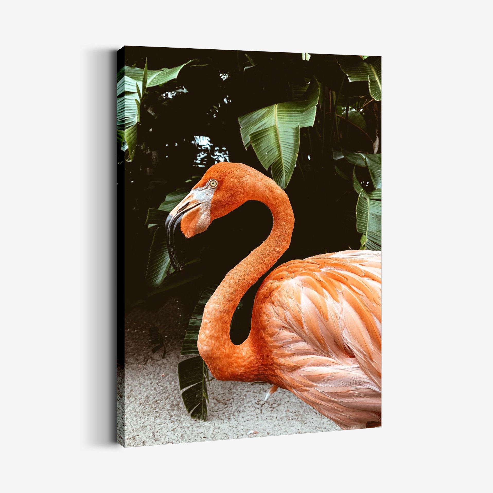 Flamingo Tablo