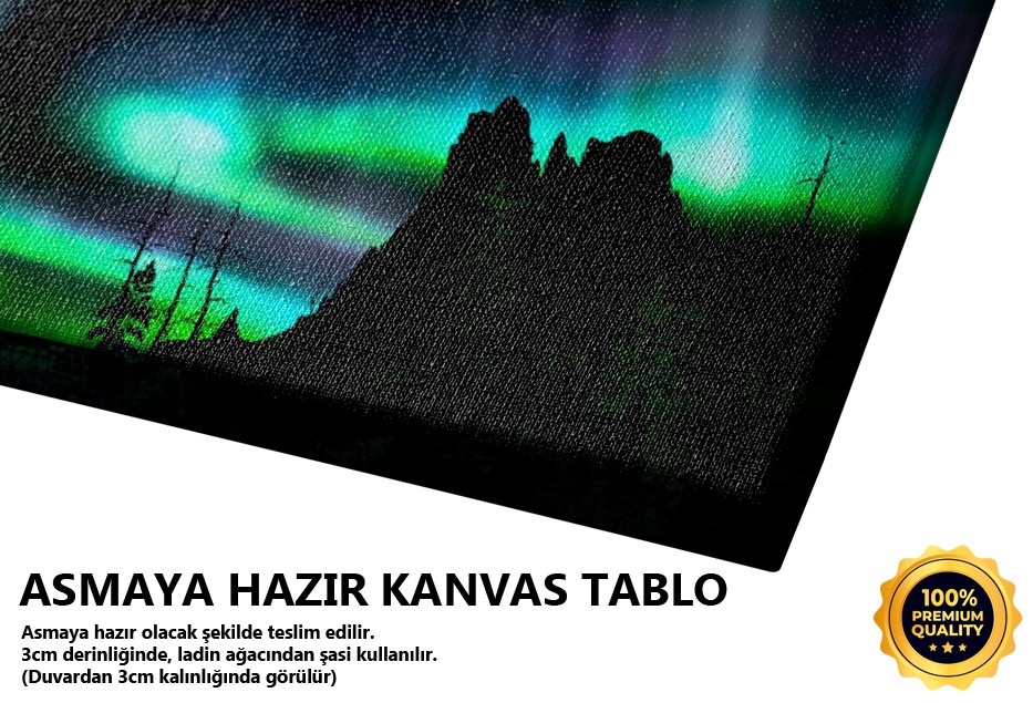 Kutup Gecesi ve Aurora Gökyüzü