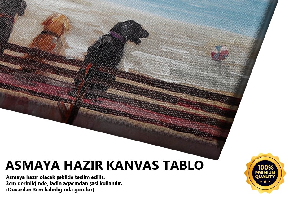 Sahil Bekçileri Tablo