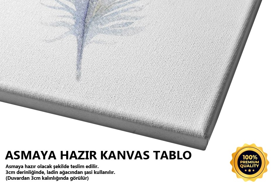 Tüy 4 Tablo