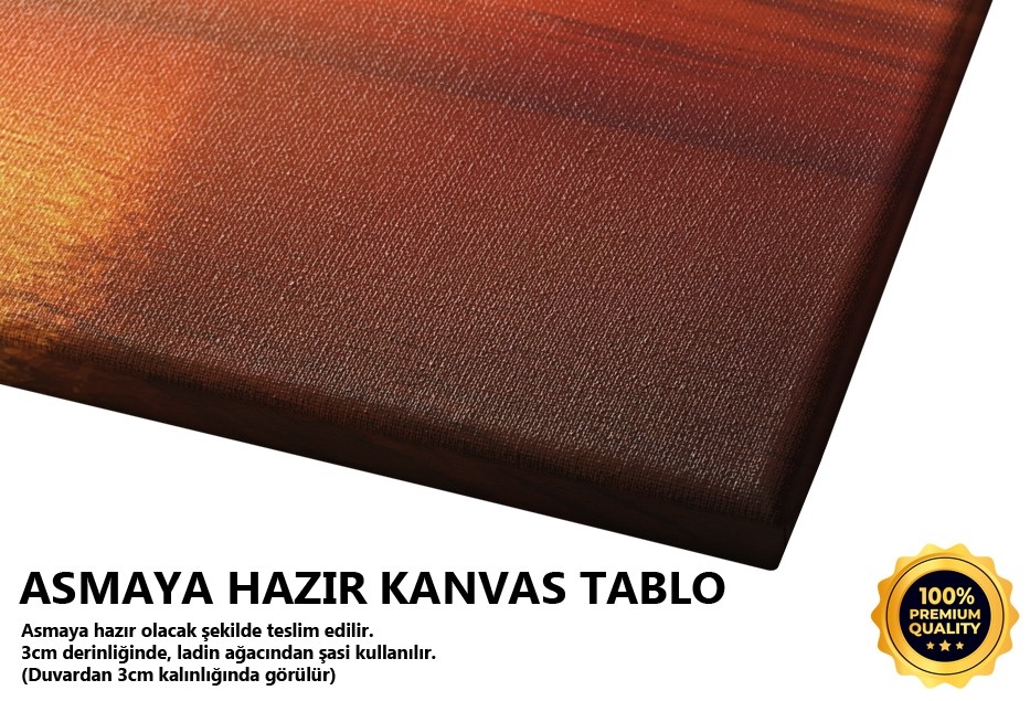 Palmiye ve Gün Batımı