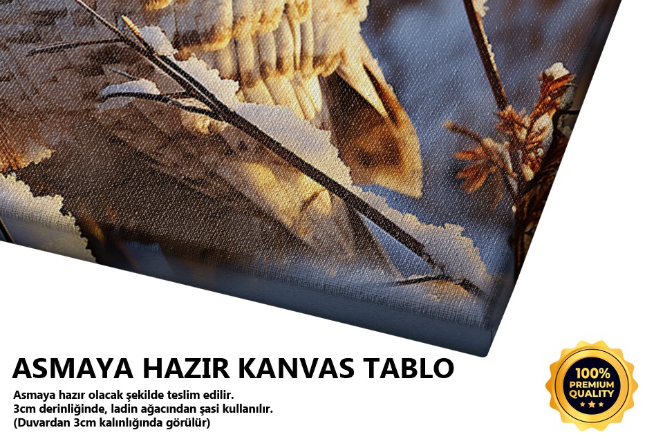 Karlı Dalda Baykuşun Bakışı