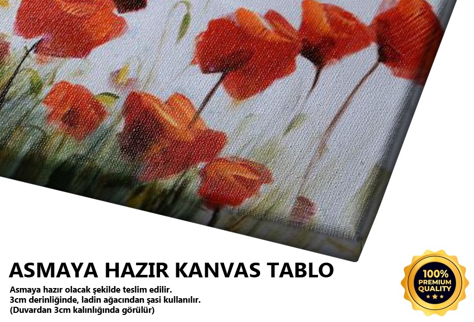 Gelincikler Tablo