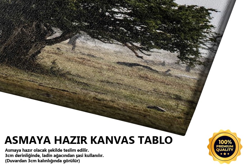 Ağaç Ve Kaplan Tablo