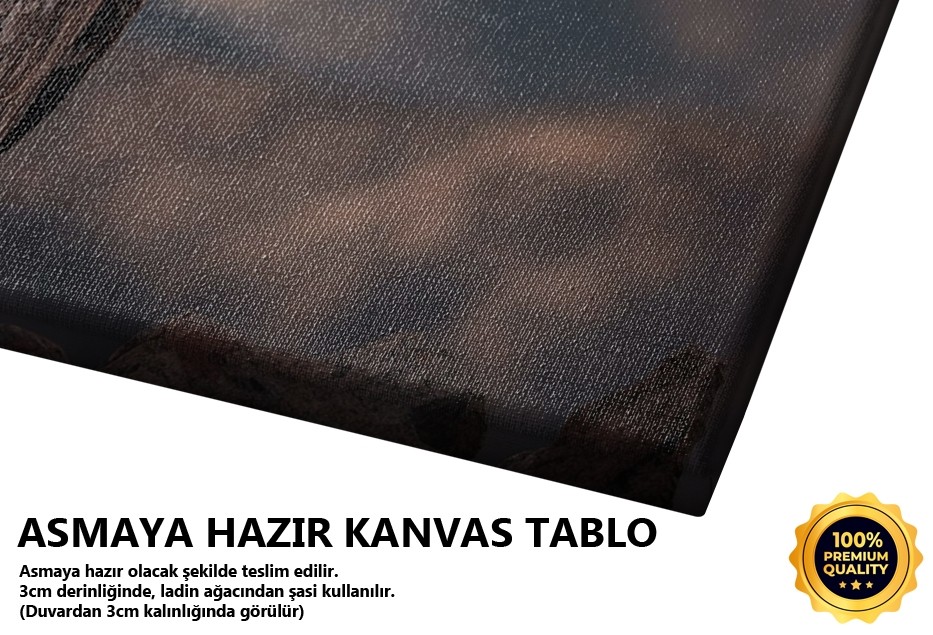 Kartal Yan Görünüşü