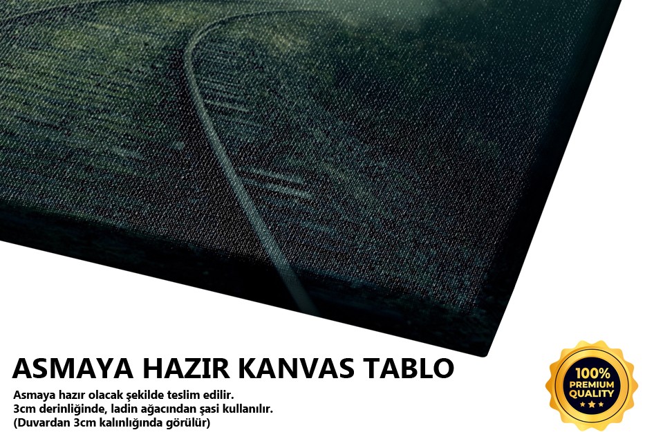 Orman İçinde Raylar ve Güneş Işığı